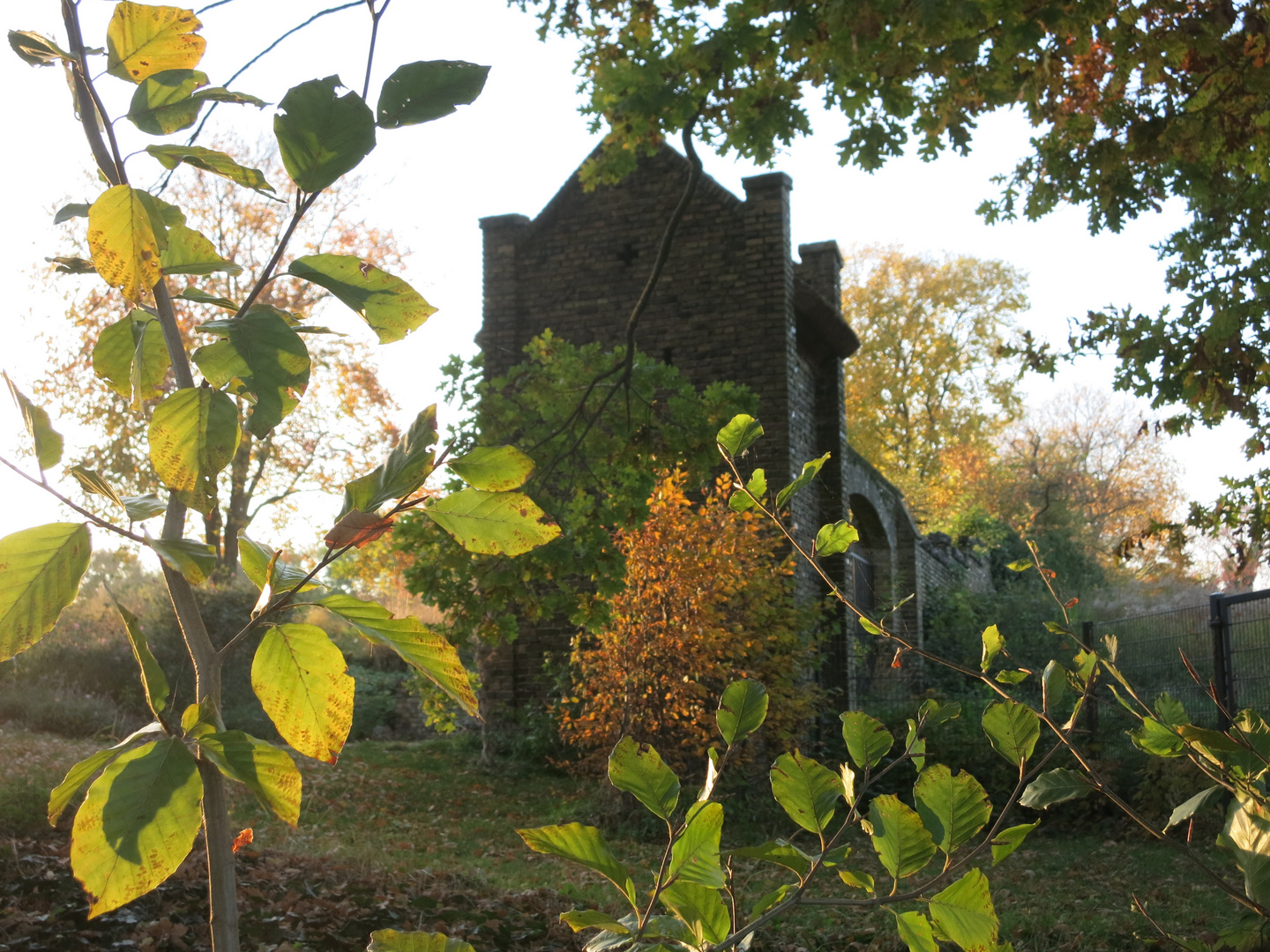 Abendliche Herbststimmung am Schwielowsee 1