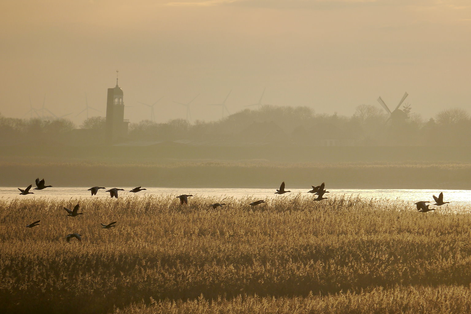 Abendliche Herbststimmung an der Ems