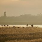 Abendliche Herbststimmung an der Ems