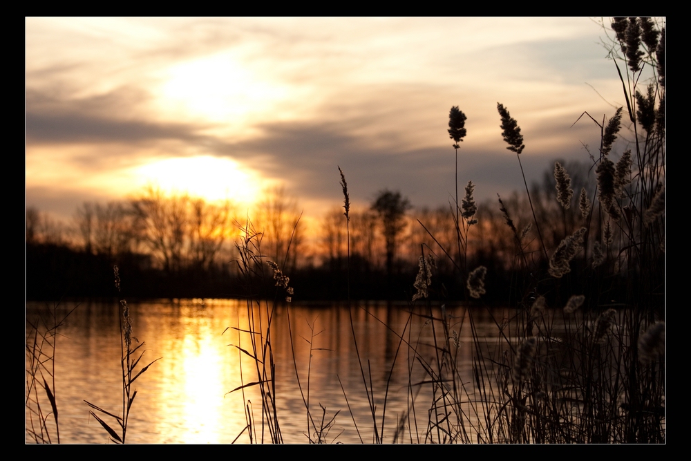 Abendliche Idylle