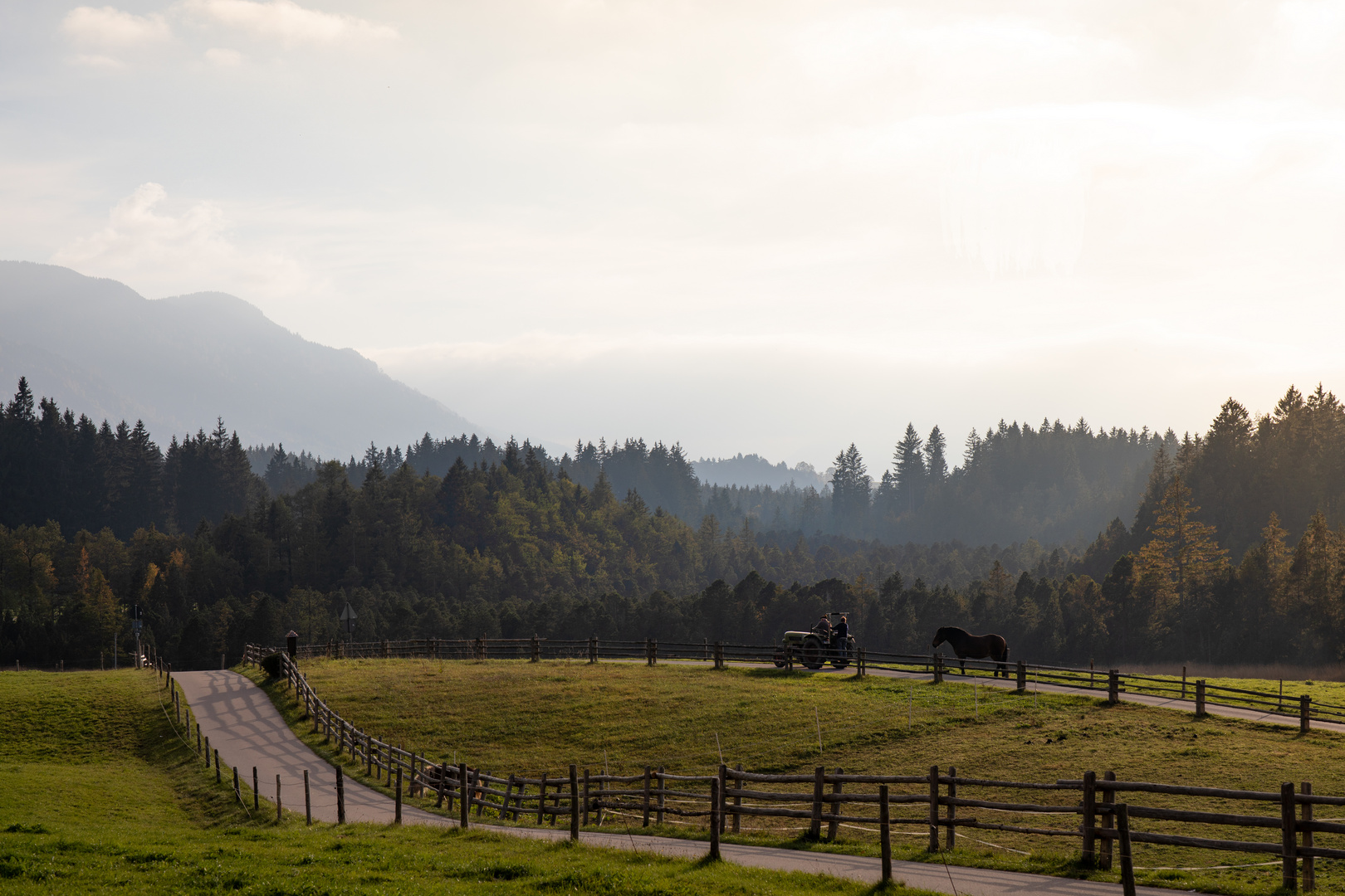 Abendliche Idylle