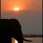 Abendliche Idylle am Chobe River