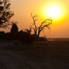 Abendliche Idylle im Chobe Nationalpark
