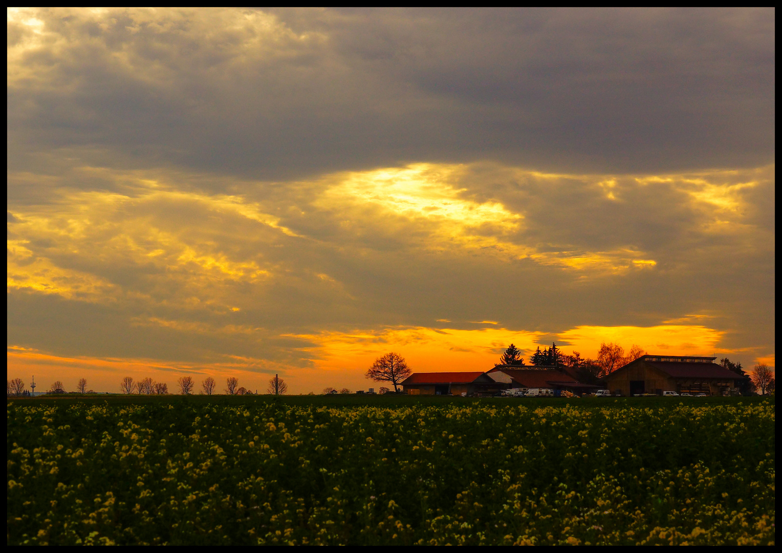 Abendliche Landidylle