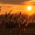 Abendliche Naturträume