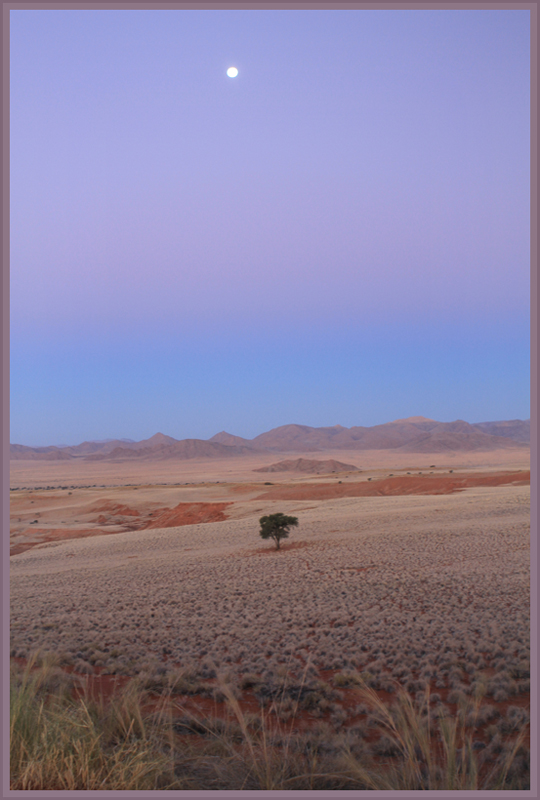 Abendliche Pastelltöne in der Namib