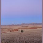 Abendliche Pastelltöne in der Namib