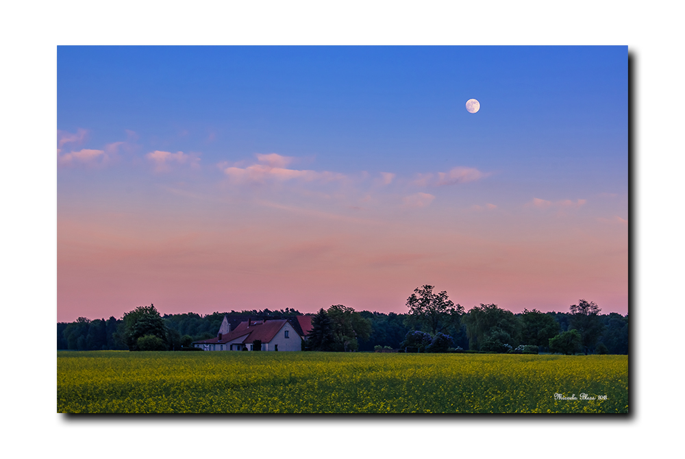 Abendliche Prignitz.