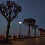 Abendliche Promenade