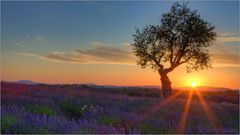 Abendliche Provence