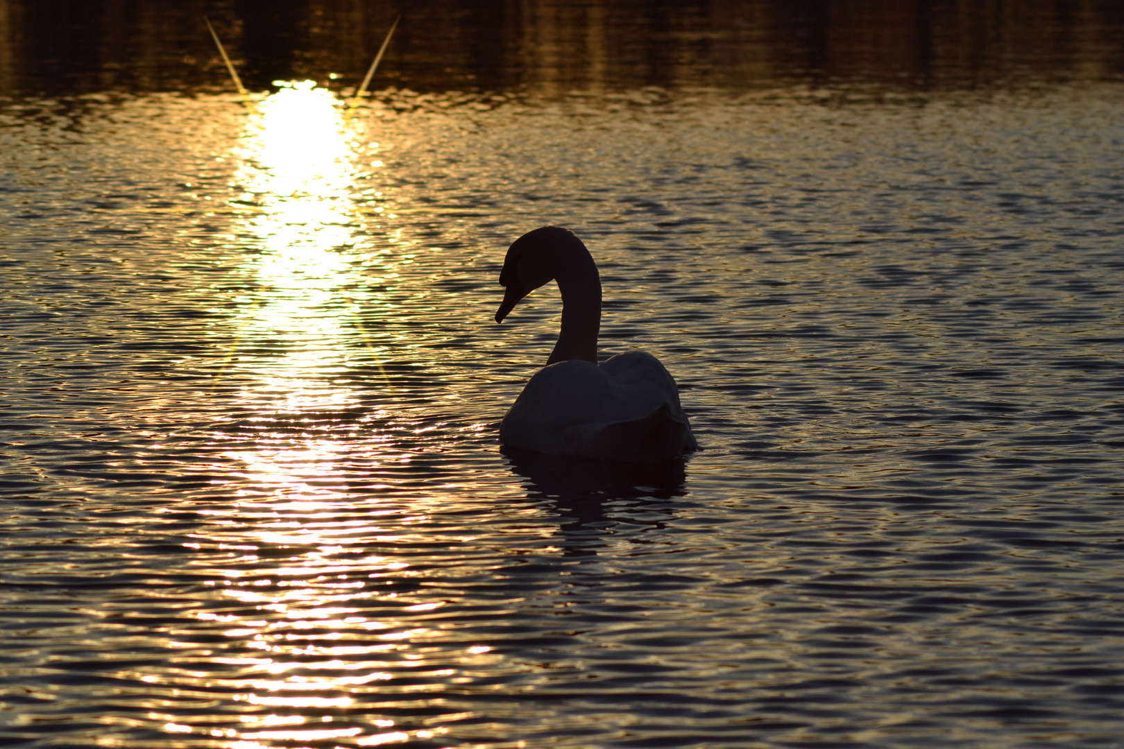 abendliche Reise