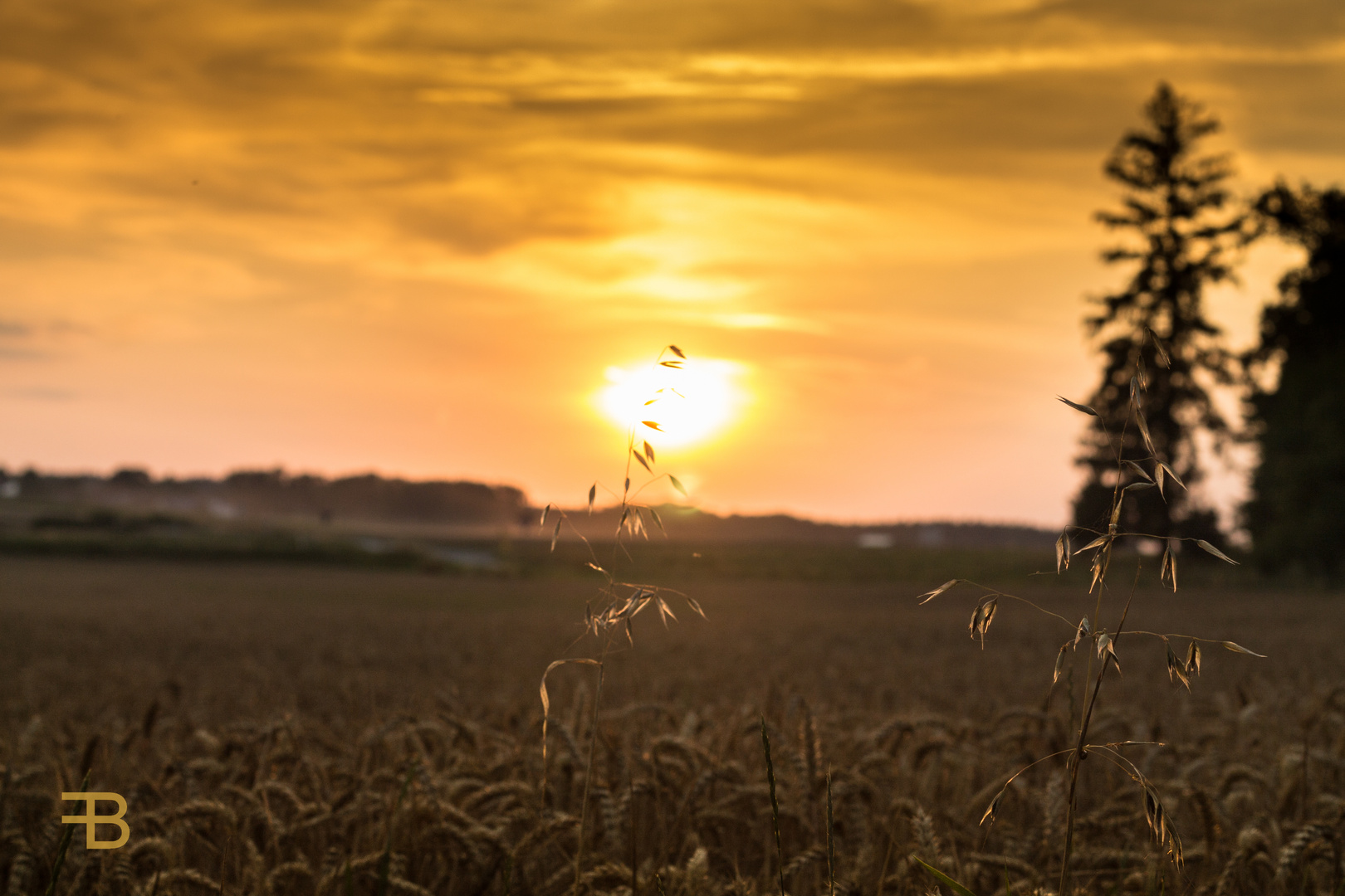 Abendliche Ruhe