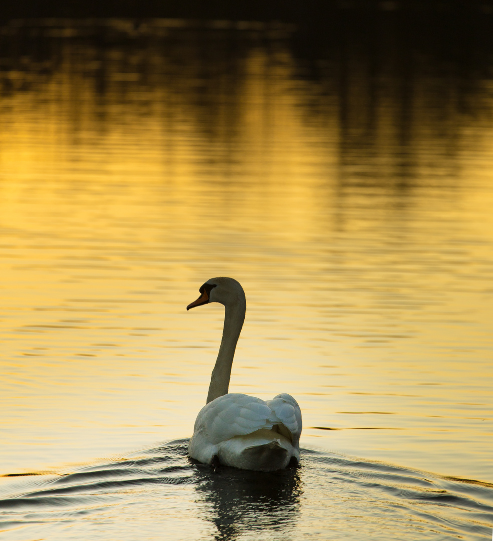 Abendliche Ruhe