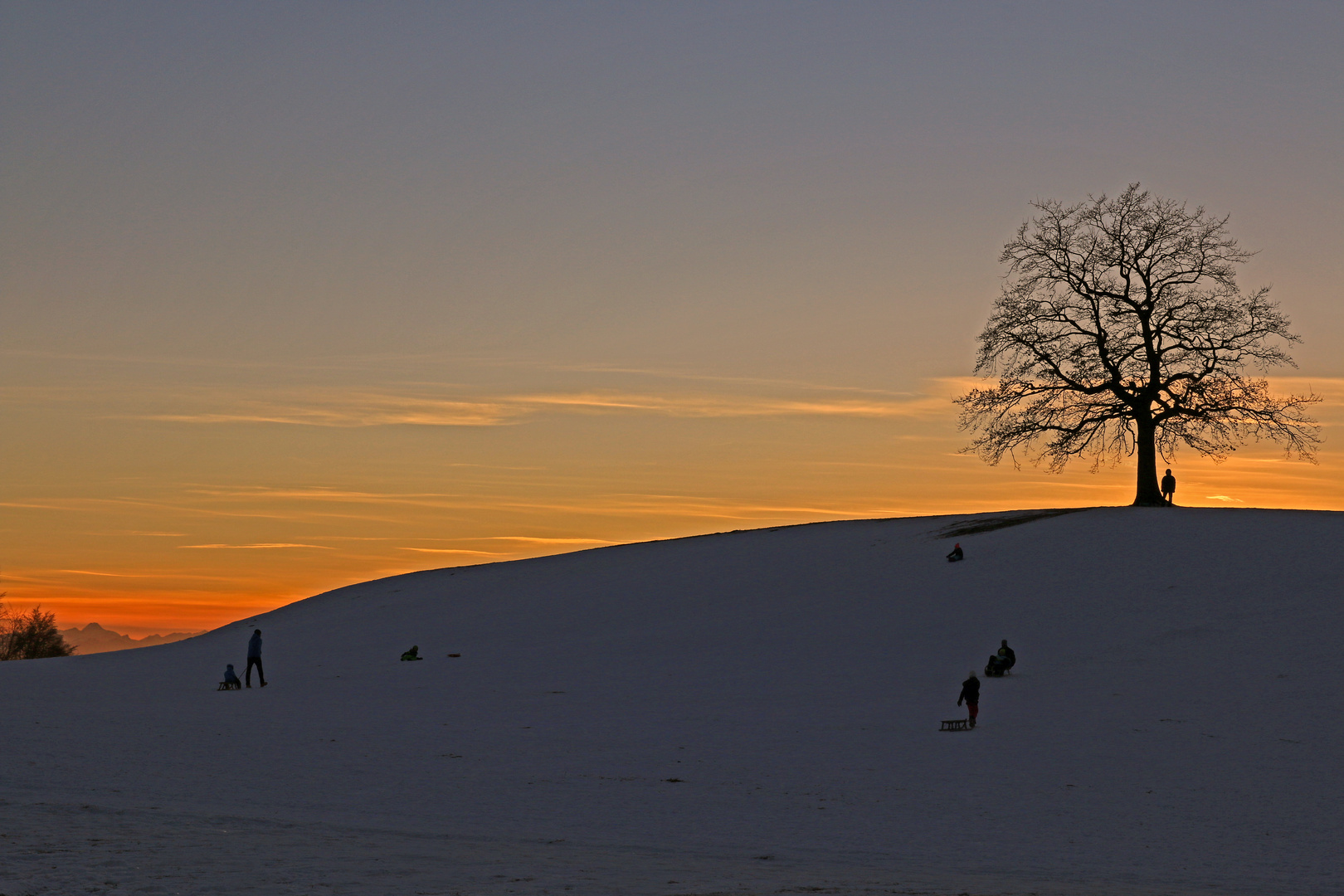 Abendliche Schlittenfahrt