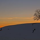 Abendliche Schlittenfahrt