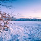 Abendliche Schneelandschaft