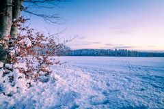 Abendliche Schneelandschaft