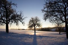 abendliche Silhouette