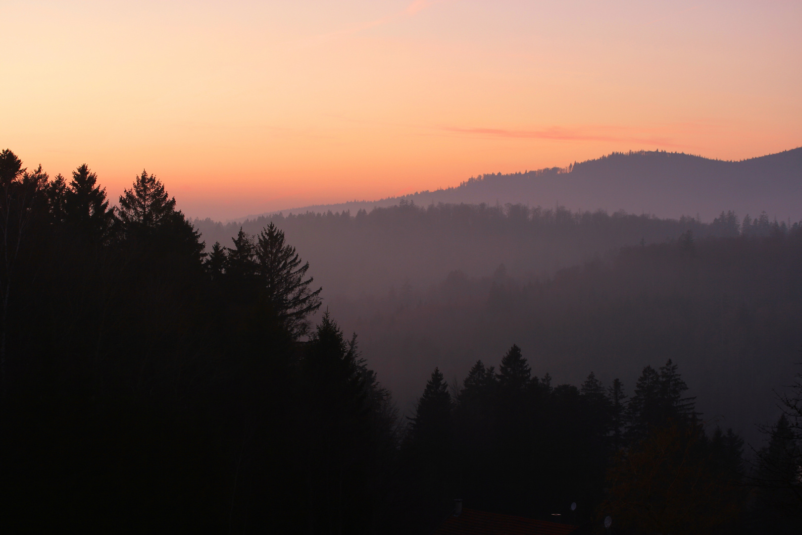 abendliche Silhouetten