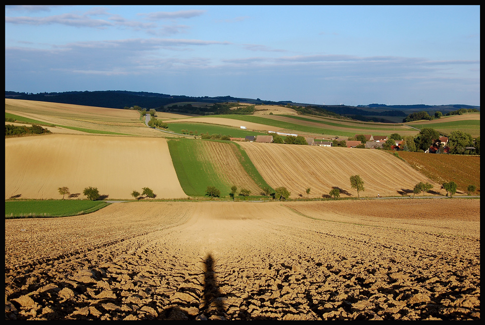 Abendliche Sommersonne...