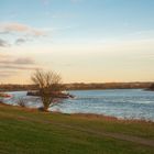 abendliche Sonne an der Elbe