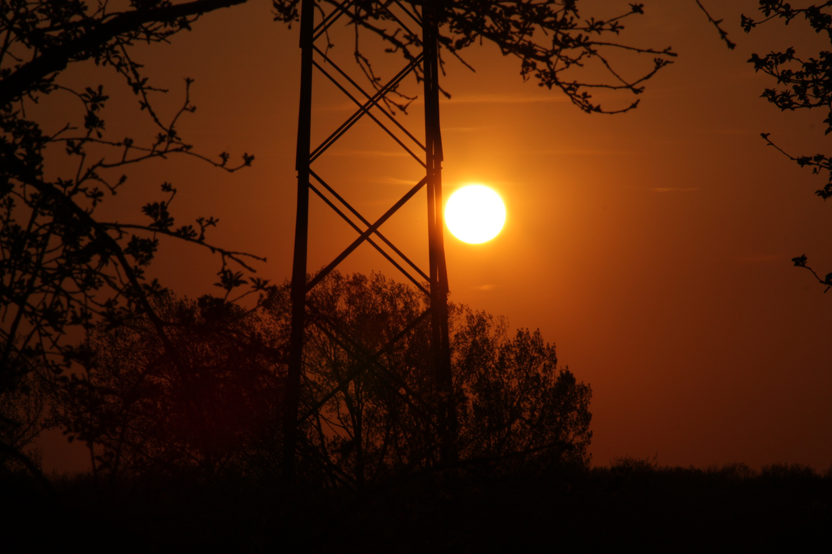 Abendliche Sonne