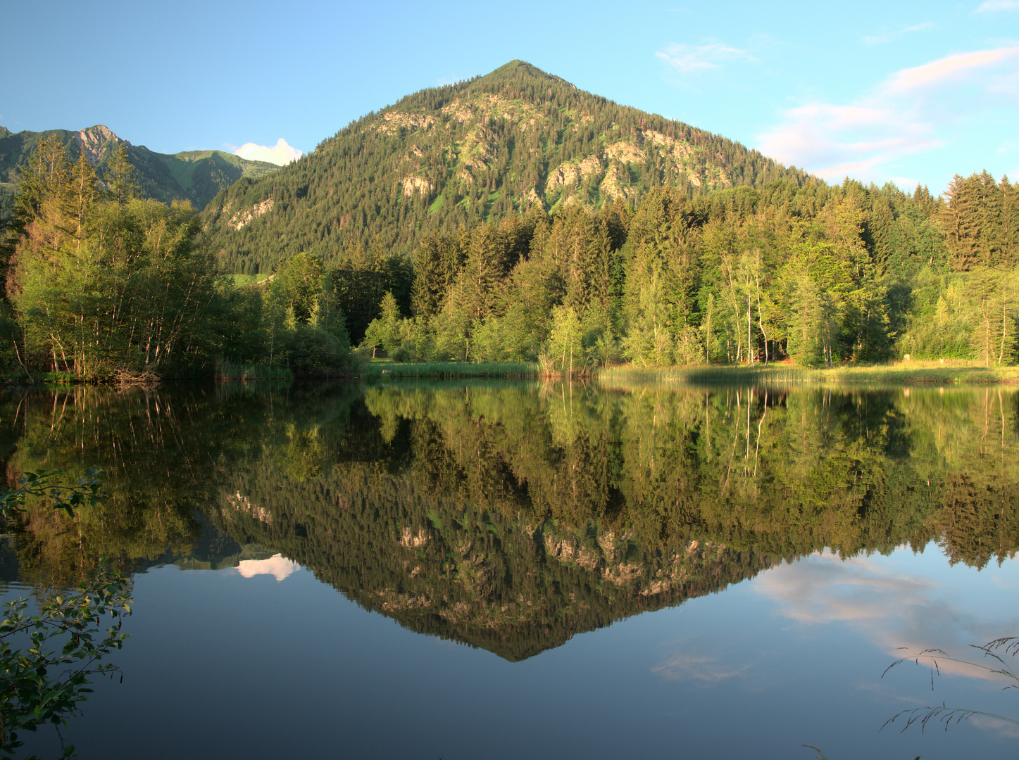 Abendliche Spiegelung im Moorweiher