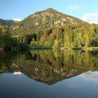 Abendliche Spiegelung im Moorweiher