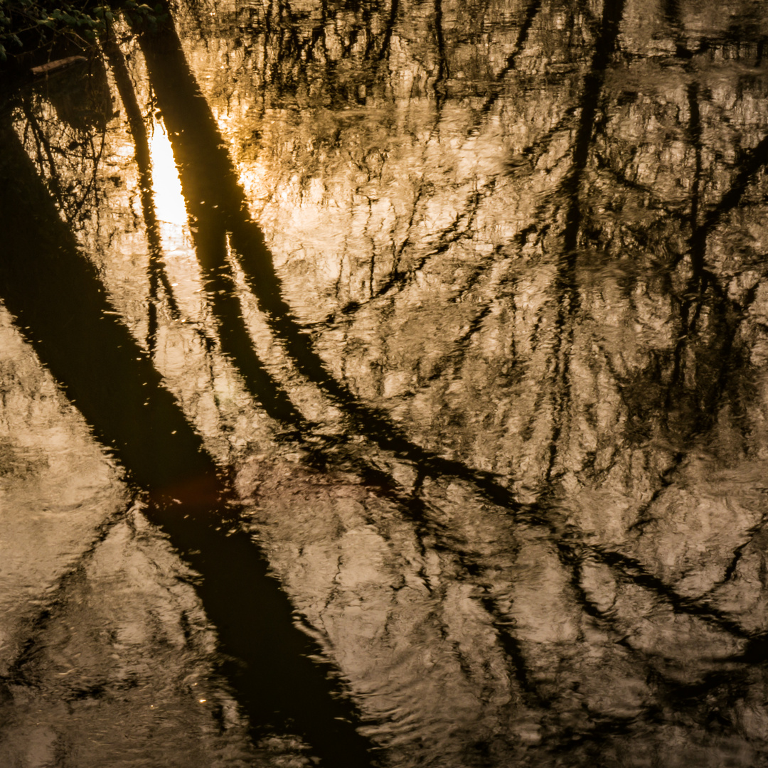 abendliche Spiegelung in der Leine - Hannover