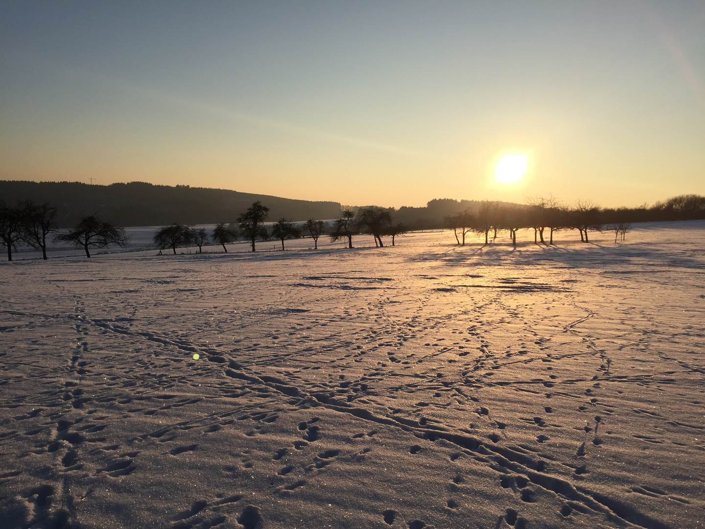 Abendliche Spuren im Schnee