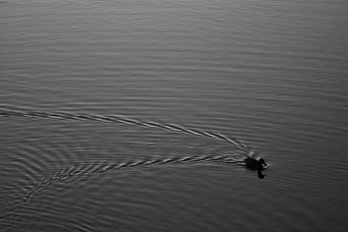 Abendliche Stille am See...