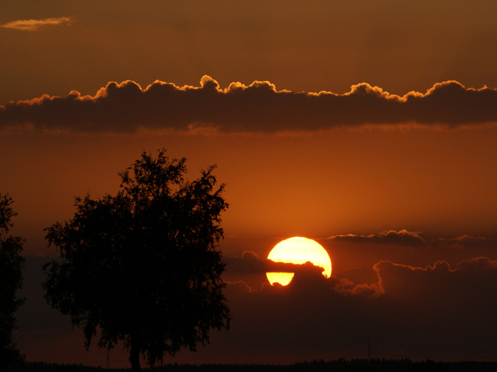 Abendliche Stimmung