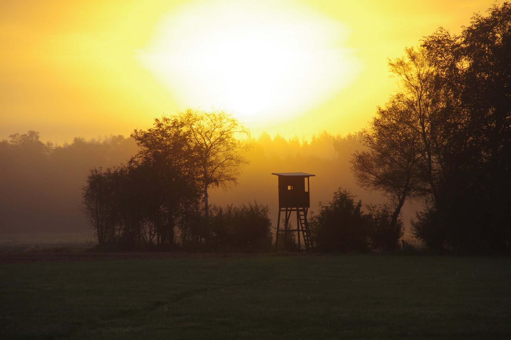 Abendliche Stimmung am Hochsitz