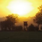 Abendliche Stimmung am Hochsitz