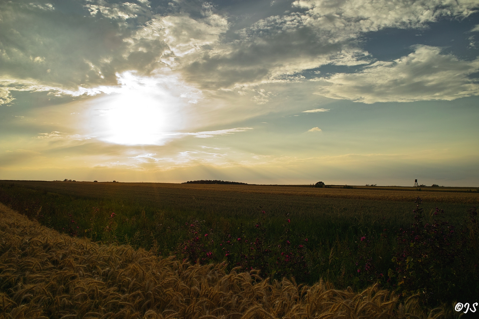 Abendliche Stimmung über den Feldern