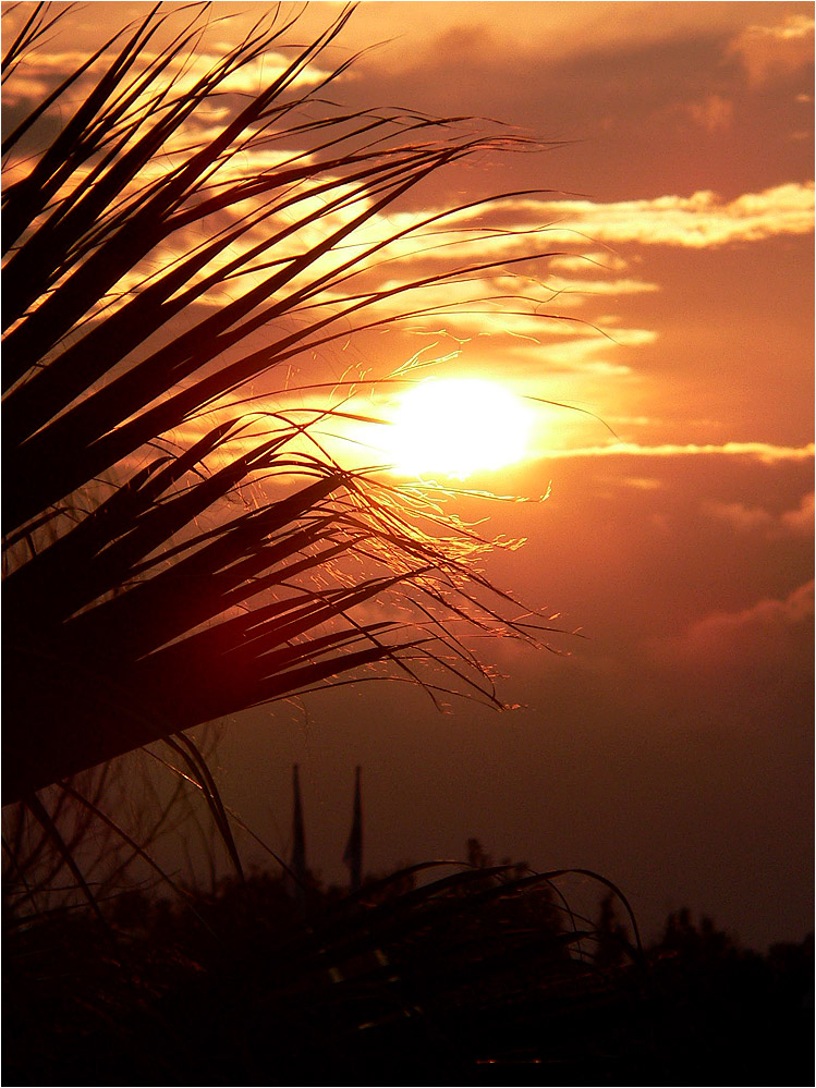 Abendliche Streicheleinheit für die Sonne