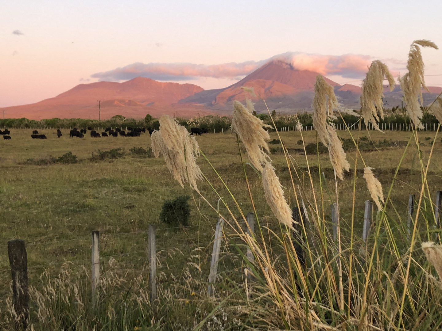 Abendliche Vorfreude auf den ‚Finest One Day Walk in NZ‘