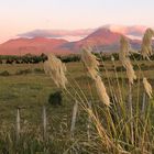 Abendliche Vorfreude auf den ‚Finest One Day Walk in NZ‘