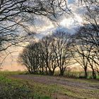 Abendliche Wanderung im März