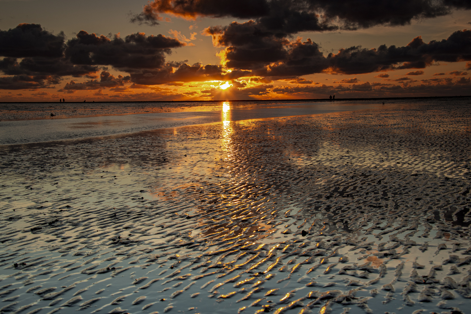 Abendliche Wattwanderung im Büsum 