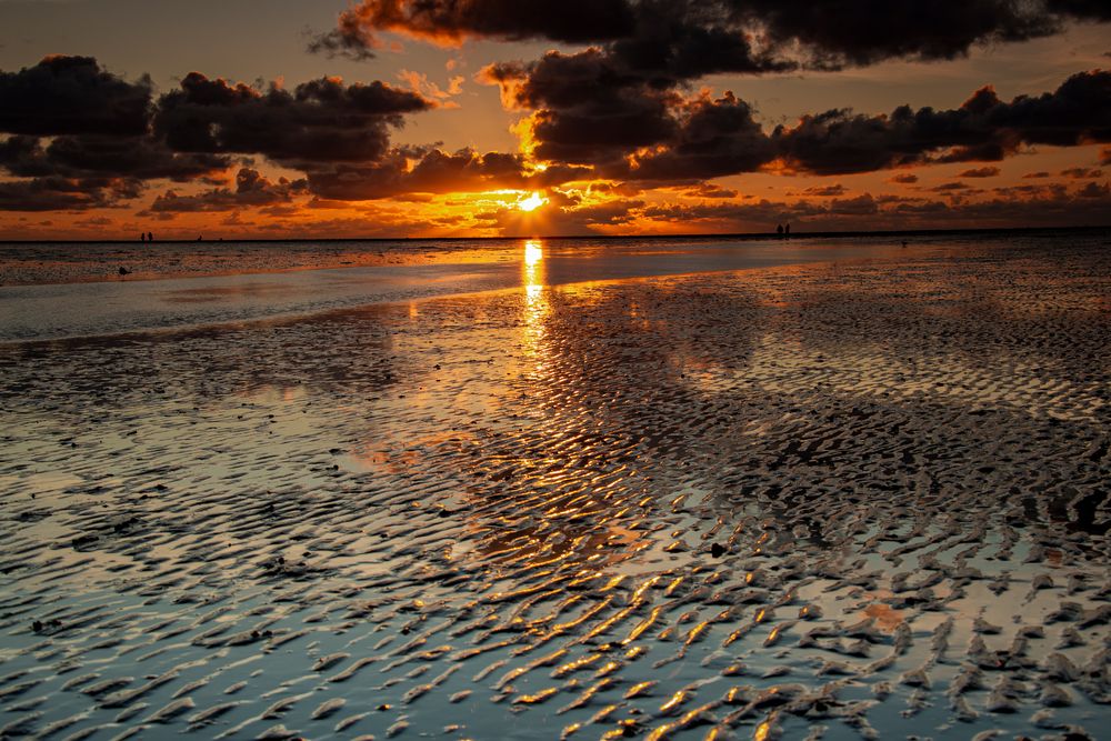 Abendliche Wattwanderung im Büsum 