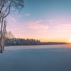 Abendliche Winterlandschaft