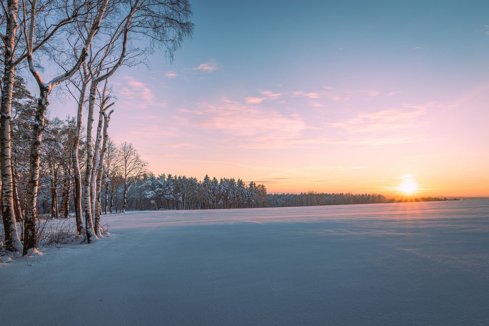 Abendliche Winterlandschaft