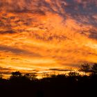 Abendliche Wolken