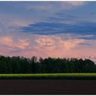 Abendlicher Alpenblick (II)