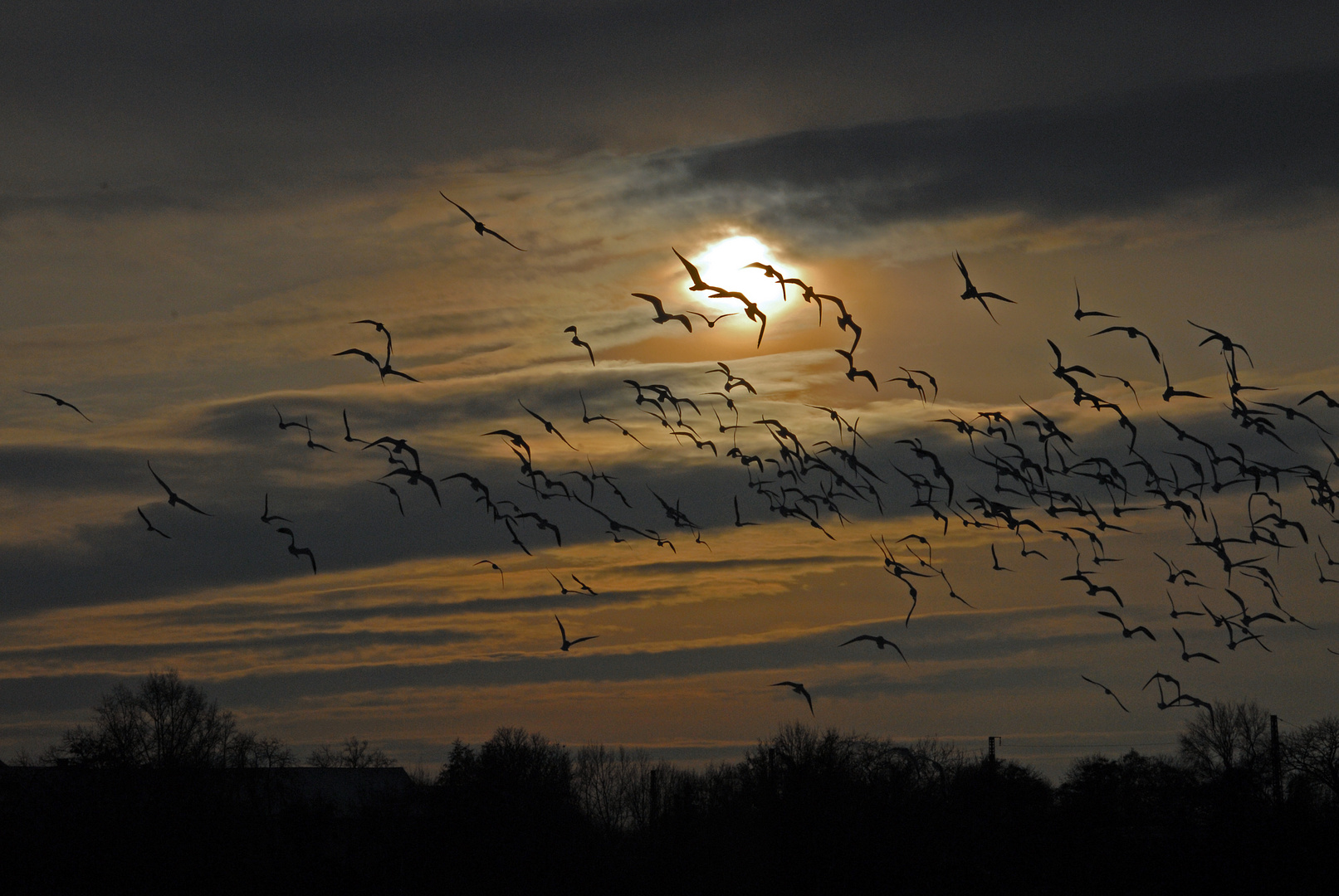 abendlicher Aufbruch