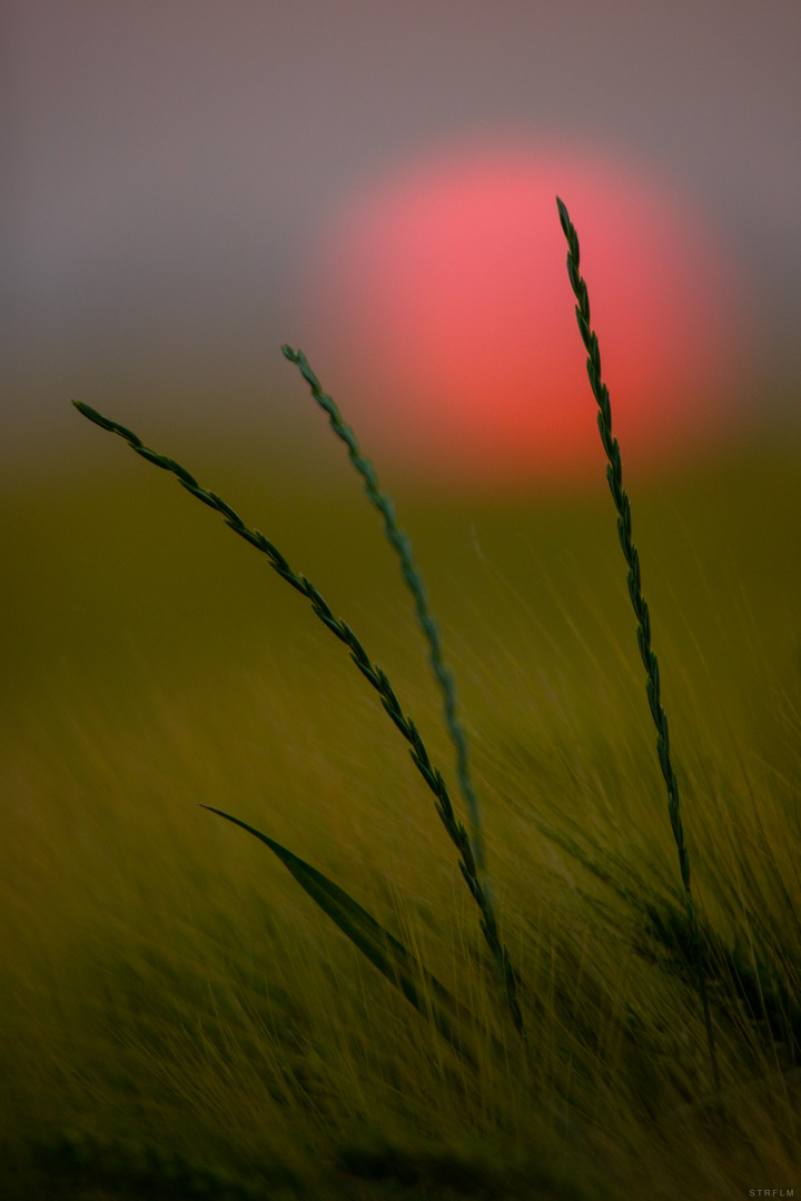 abendlicher Ausblick