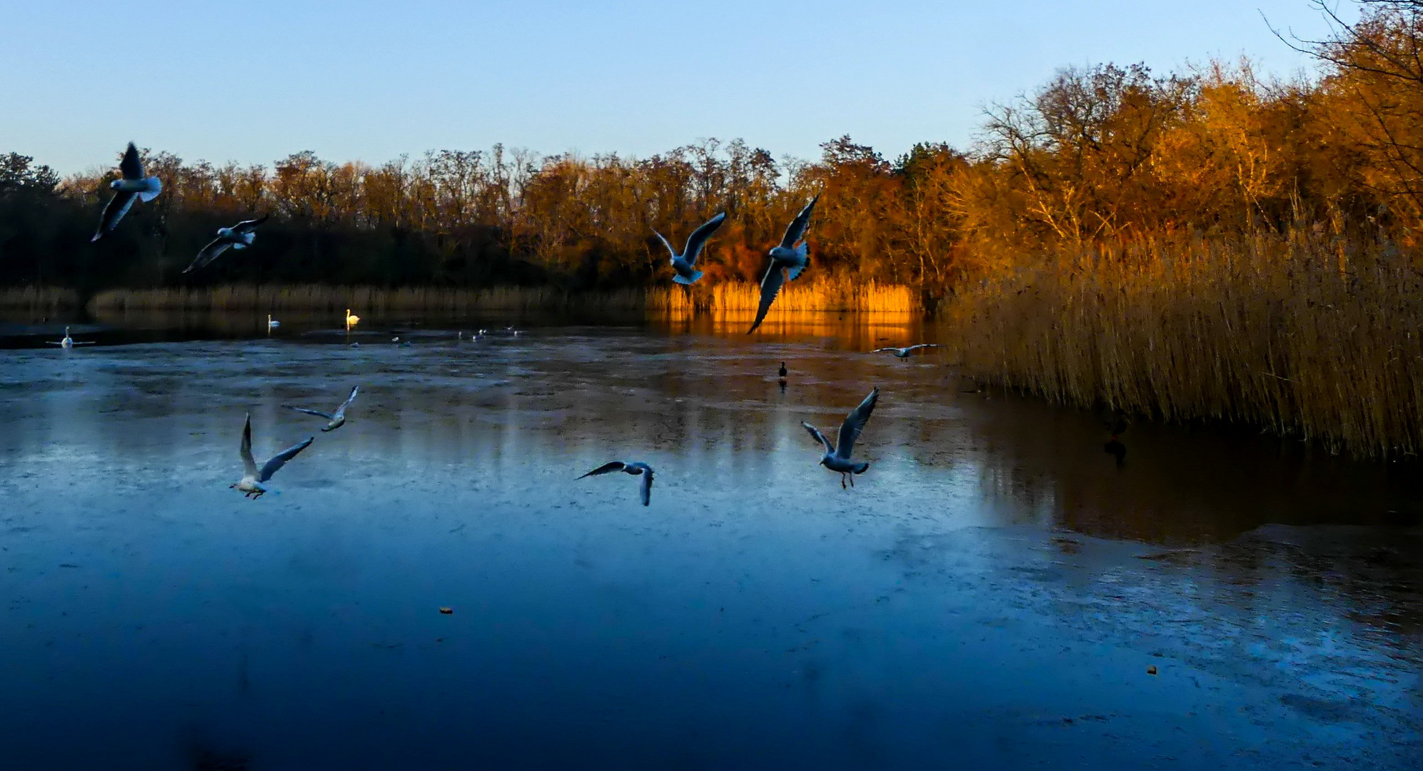 Abendlicher Ausflug