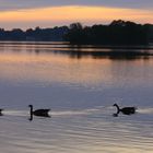 "abendlicher Ausflug"  Dienstag ist Spiegeltag 07.07.2020