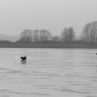 Abendlicher Ausflug im Winter